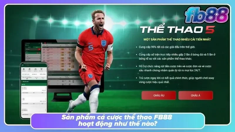 Khám phá tổng quan về nền tảng giải trí thể thao