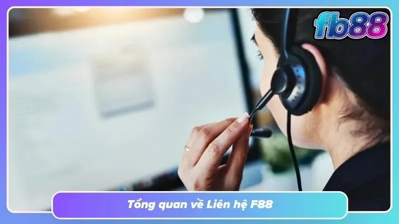 Tìm hiểu sơ lược về liên hệ là gì?